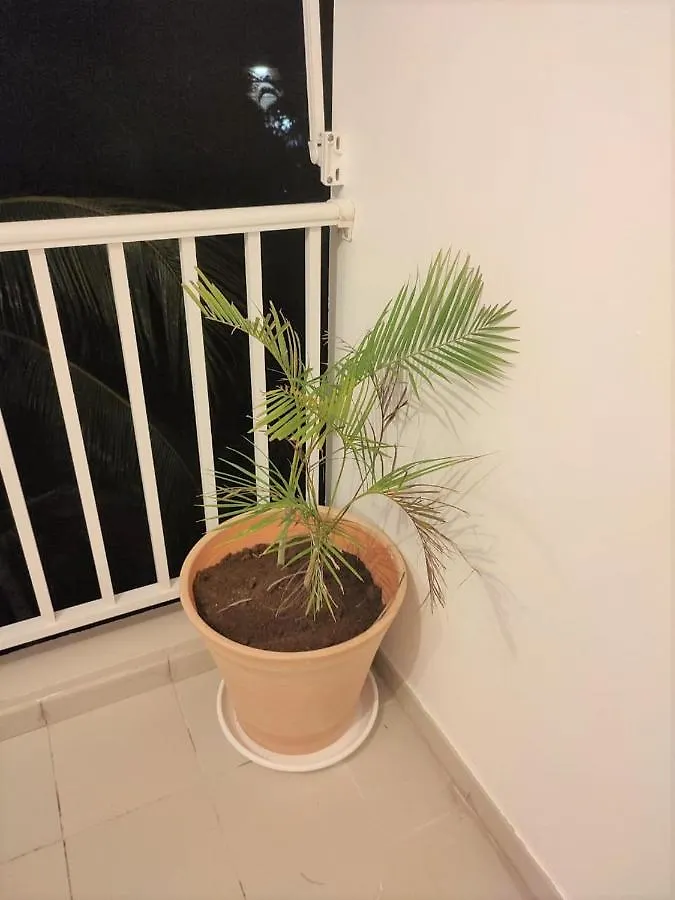 Appartement Serenite, Tout Confort 2Adultes 1 Enft Les Trois-Ilets 0*,